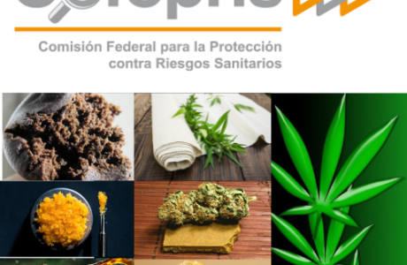 Permisos de Marihuana o Cannabis COFEPRIS