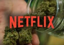 Documentales sobre marihuana cannabis en Netflix que no debes perderte cannatlan