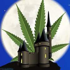 Un castillo inglés fue descubierto por la policia como granja indoor de cannabis