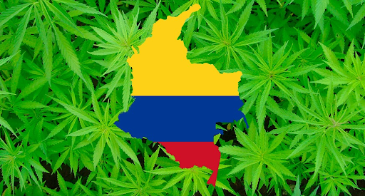 Colombia avanza en la legalización del cannabis cannatlan