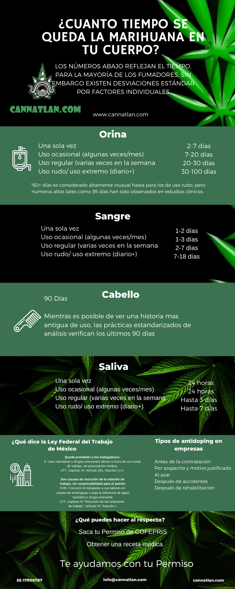 Cu Nto Dura La Marihuana En Tu Cuerpo