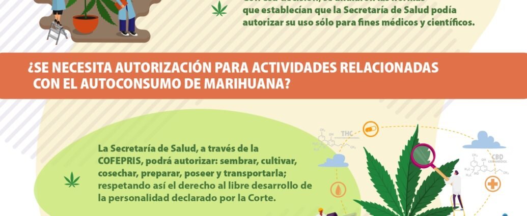 SCJN y marihuana permiso cultivo cannatlan