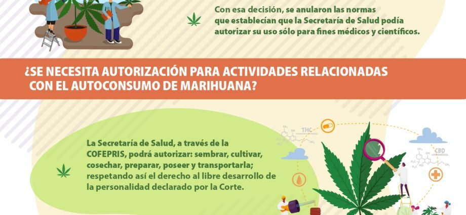 SCJN y marihuana permiso cultivo cannatlan