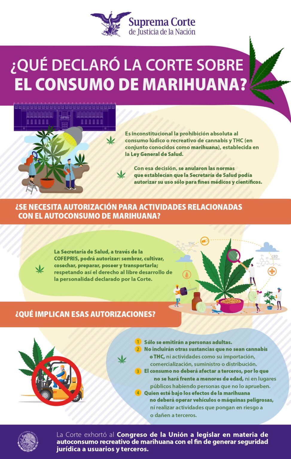 ¿qué Declaró La Suprema Corte De Justicia De La Nación En México Sobre El Consumo De Marihuanaemk 4175