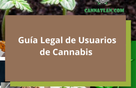 Guia legal para usuarios de marihuana en Mexico cannatlan