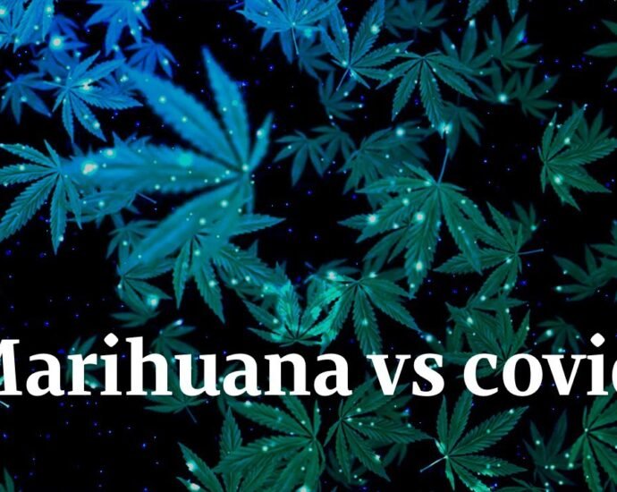 ¿Se puede consumir cannabis antes o después de tu vacuna COVID-19?