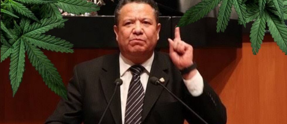 Senador de Morena Julio Menchaca y la marihuana, cannatlan