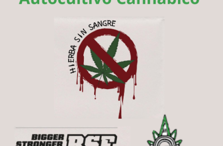 Curso Intensivo de Autocultivo hierba sin sangre bsf cannatlan