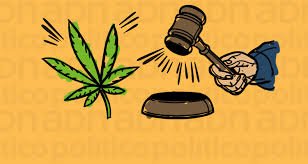 Prisión por portar cannabis perfila la suprema corte cannatlan