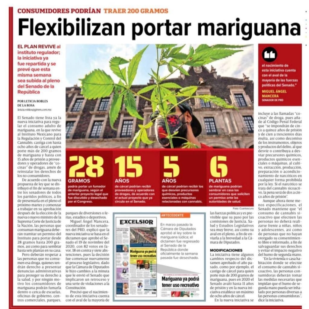 Flexibilizan portar marihuana 200 gramos en México Cannatlan