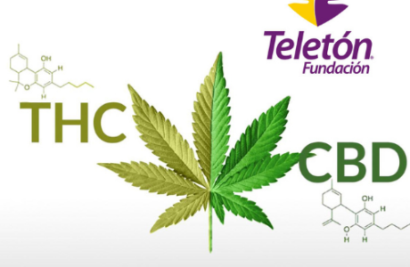 Teletón cannabis medicinal crit cannatlan