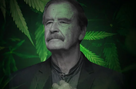 Vicente Fox Marihuana