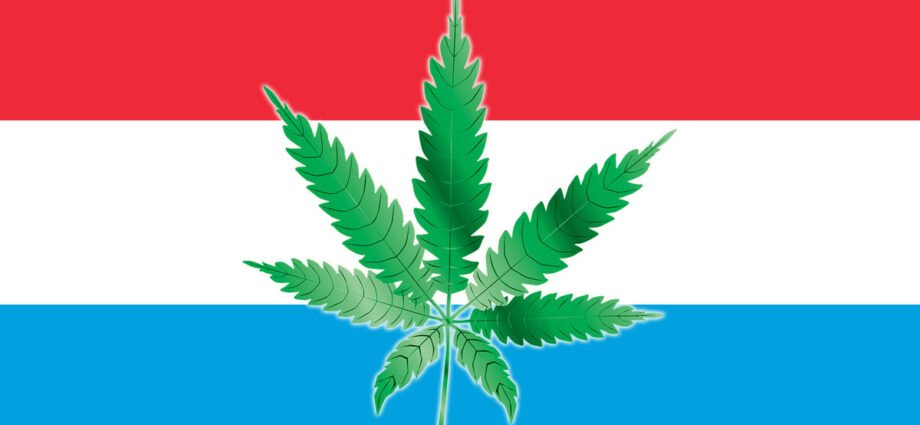 Luxemburgo primer pais de la Unión Europea que legaliza el cannabis cannatlan