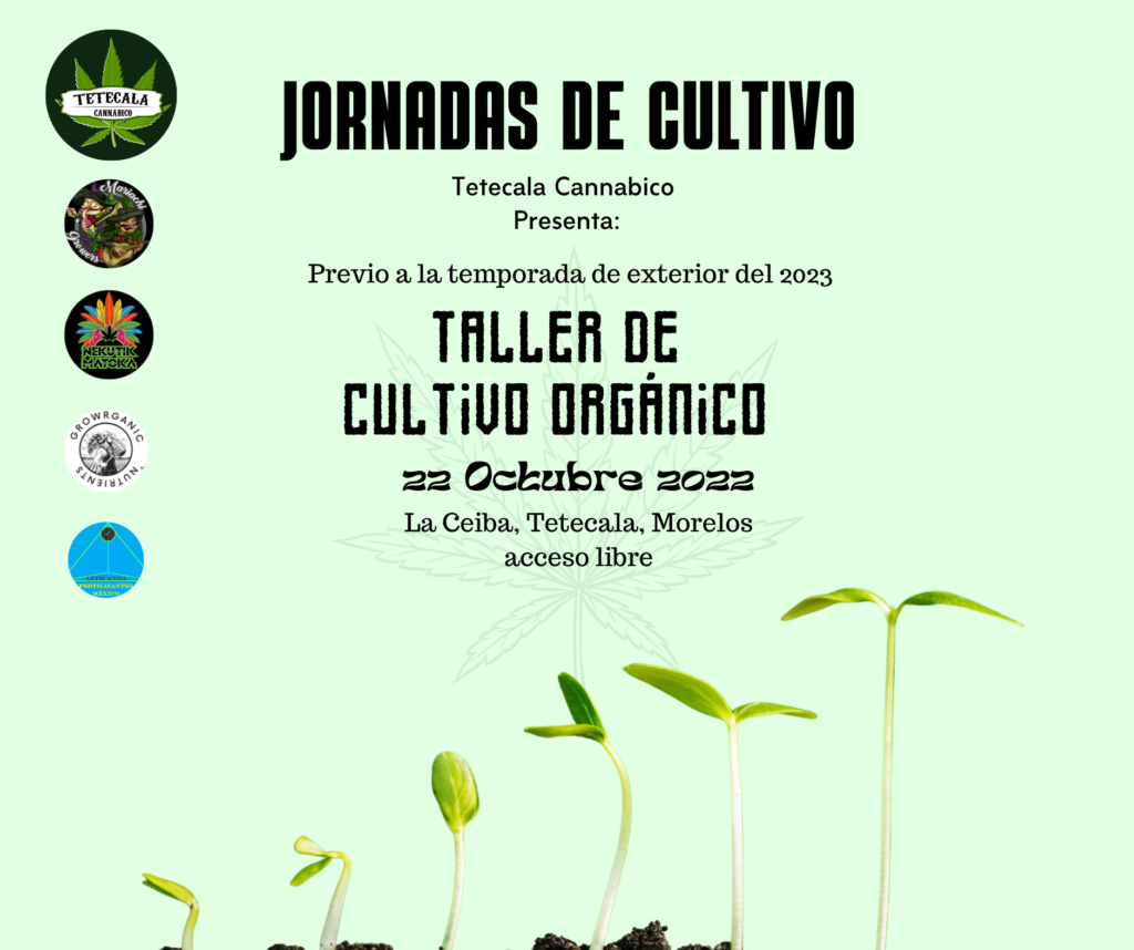 Taller de Cultivo Organico de Marihuana en Tetecala Morelos