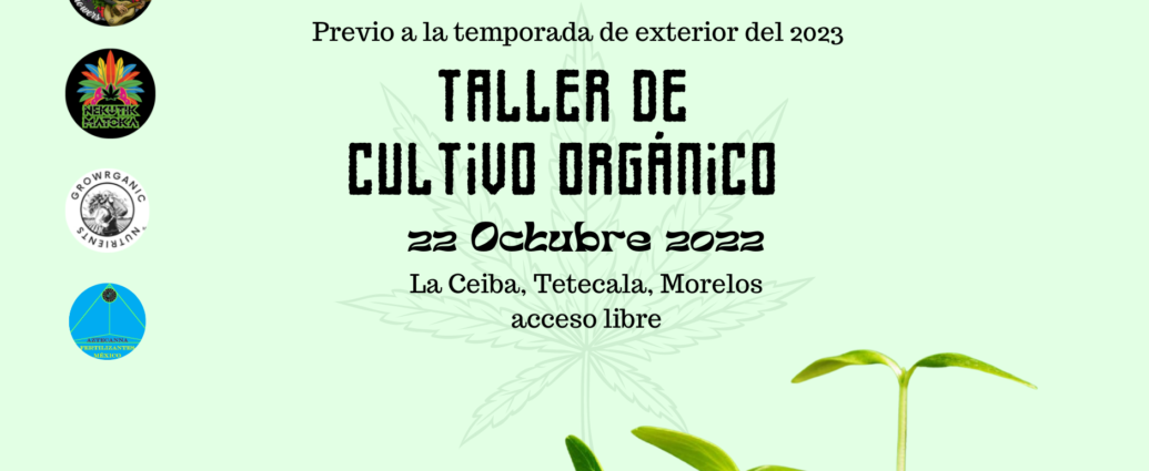 Taller de Cultivo Organico de Marihuana en Tetecala Morelos