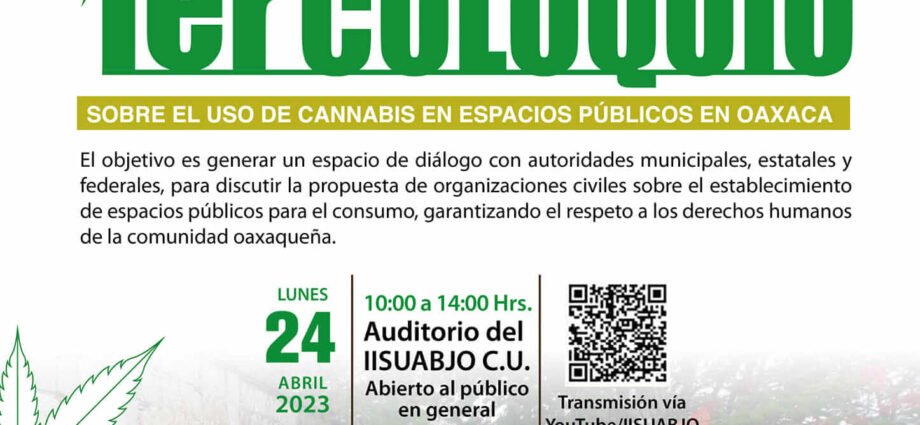 Elevando la conversación: Discutiendo los Beneficios de los Espacios Públicos de Consumo de Cannabis en Oaxaca Meta Descripción: