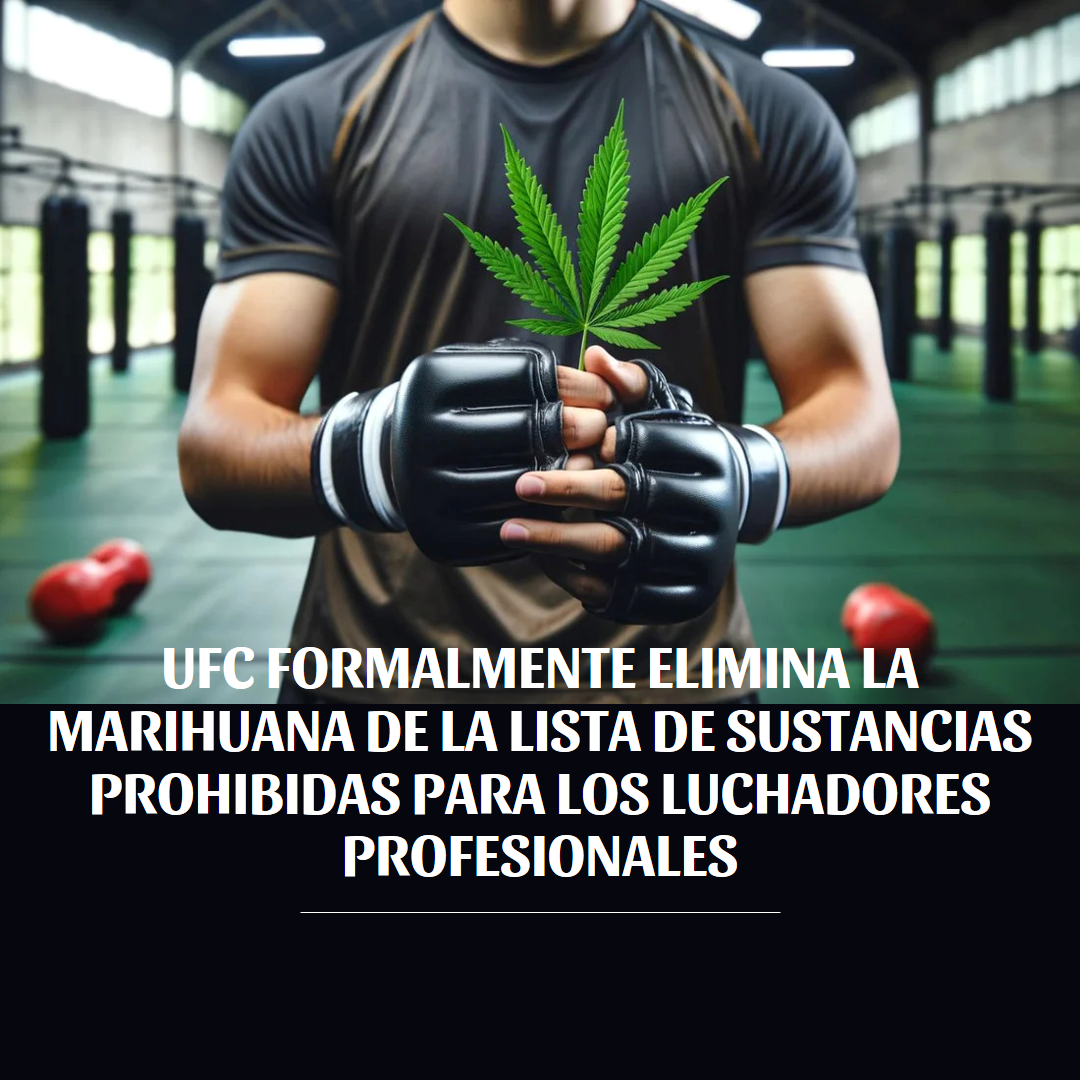 UFC Formalmente Elimina la Marihuana de la Lista de Sustancias